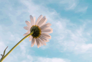 Futures Trading Halted by Data Center Issue: What happened and its market impact